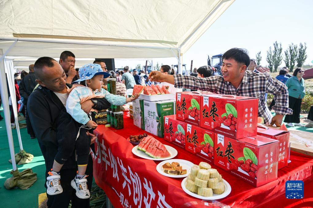 mg代理娱乐